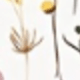 Style E