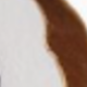 藍狗