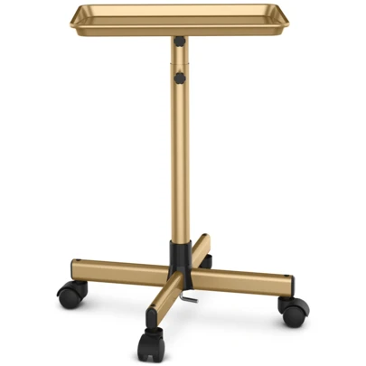Carrito de salón premium de 17.9" x 12.8" | Bandeja | Disponible en dorado, rosa y negro | Bandeja para estilista | Altura ajustable | Bandeja con ruedas para peinar | Adecuado para almacenamiento en salón de belleza y secado de estilista