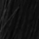 S1