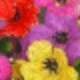 Red + Yellow + Purple