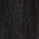 S1B