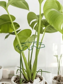 1pc Durable Adjustable Plant Support Bracket, Cast Iron Plant Fixing Bracket, Outdoor Potted Plant Fixing Decoration Tool, Plant Stable Support System - Metal Climbing Plant Bracket, Beneficial For Plant Healthy Growth, Plant Support Structure | Climbing Plant Bracket | Metal Stabilizer - Multicolor - View 8