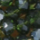 verde oscuro