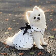 1件春夏新款宠物连衣裙，浪漫爱心印花，可爱领结，小型犬/猫背带裙，舒适透气轻薄宠物服装 - 彩色 - 查看 3