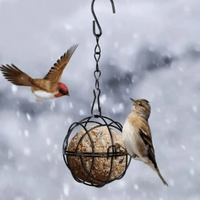 Outdoor Bird Cage Shaped Bird Feeder, Spring Hanging Bird Feeder Suitable For Garden And Yard