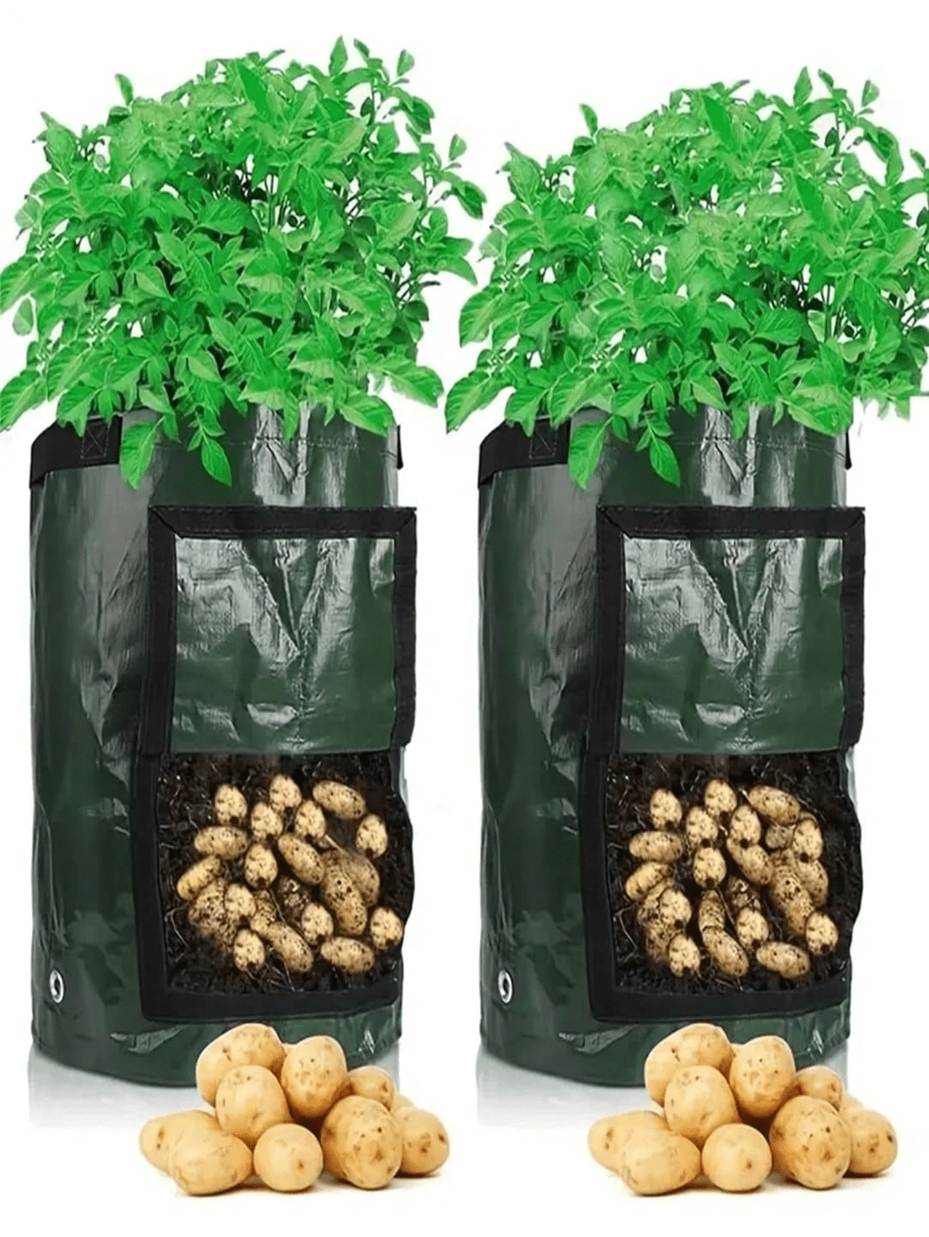 1个装土豆种植袋，耐用布料花园盆，带翻盖和提手，春季种植袋，植物生长袋，土豆蔬菜植物栽培种植桶，带门 - 綠色 - 查看 1