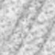 Hopea