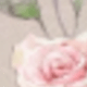彩色