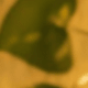 Lá thường xuân pin