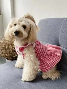 宠物服装英伦风格子田园可爱小荷叶袖格子连衣裙连体衣 - 紅白色 - 查看 3