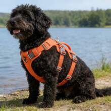 防逃脱狗背带，软垫全身宠物背带，配有反光可调节防窒息背心、牵引绳手柄和扣环，适用于大型犬散步训练 - 彩色 - 查看 18