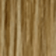 SP01