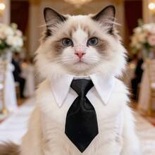 1 pieza Corbata de moño formal ajustable para mascotas, adecuada para perros y gatos, accesorio lindo para mascotas para bodas, fiestas y uso diario - Multicolor - Ver 6