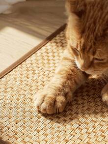 1件装宠物夏季凉垫，藤编睡垫，双面凉透气床 - 彩色 - 查看 5