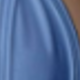 藍色齊達尼