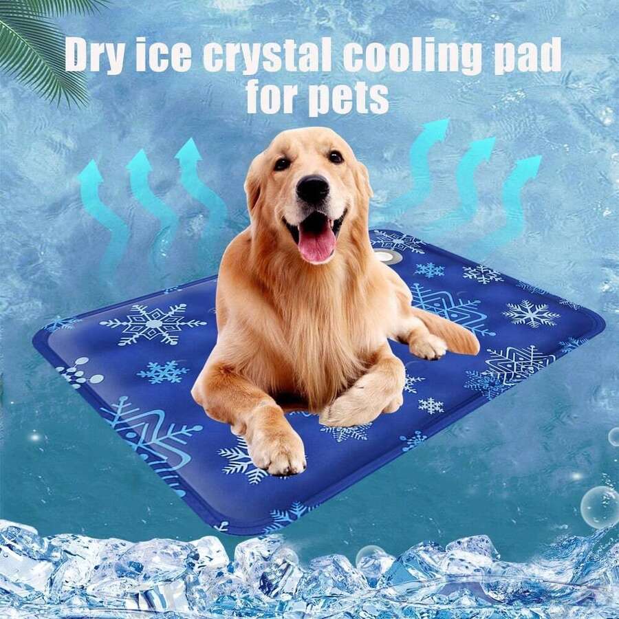 1个夏季宠物降温垫,注水式宠物降温垫,适用于小型/中型犬猫,无需电源,注水后形成凝胶以增强降温效果,适合宠物睡眠和休息。 - 彩色 - 查看 1