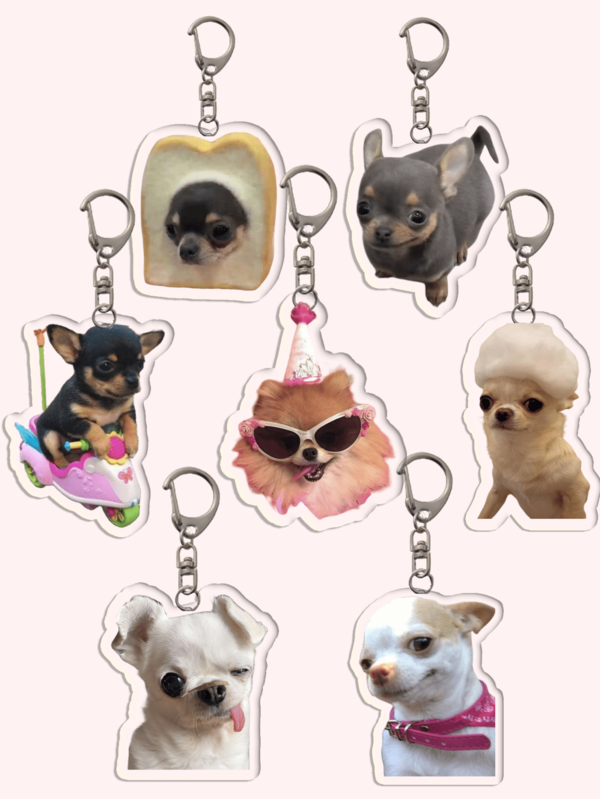 1个可爱亚克力吉娃娃脸钥匙扣：卡通人物造型，趣味饰品，粉丝礼物。非常适合送给男朋友、女朋友、家人、老师，也可作为派对礼物或狗狗主题手机装饰。