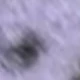 Mauve Purple