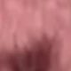 Coral Pink