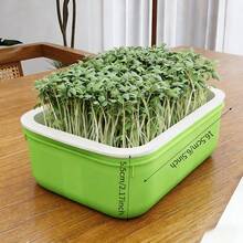 1 Set Bean Sprout Planter, Sprouting Device, Hydroponic Wheat Grass Planting Tray, Home Soil-Free Cultivation - Multicolor - View 2