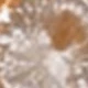Oro 3