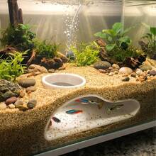 1件 3D列印水族魚隧道躲藏處，天然彎曲洞穴裝飾，適合孔雀魚、鬥魚、鼠魚躲藏點，魚缸配件，水族裝飾，魚類庇護所，繁殖洞穴 - A - 查看 11