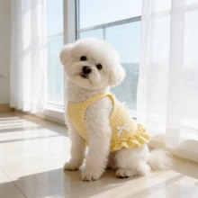 1 bộ váy cho chó nhẹ, thoáng khí, thân thiện với da, chống rụng lông, váy dễ thương cho cún con kèm nơ, trang phục thường ngày cho chó mèo nhỏ, dùng mùa hè, thích hợp làm quà tặng Ngày của Mẹ, Ngày Thiếu nhi, Giáng sinh. - Màu vàng - Xem 13