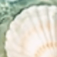 Nhiều màu A