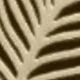 Vàng