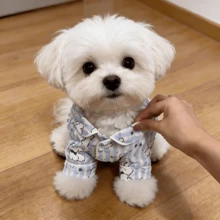 可爱宠物猫狗服装，狗狗用品，小型犬，柔软小型宠物服装套装，适合猫咪和幼犬，幼犬用品防晒防掉毛家居服，纽扣闭合 - 彩色 - 查看 4