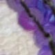 Lilac Purple