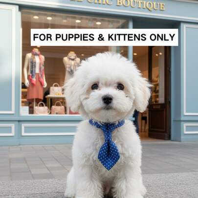 PINCOOL Vòng cổ chấm bi cho thú cưng có chuông và vòng xích, phù hợp cho chó và mèo