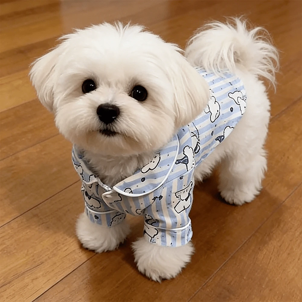 可爱宠物猫狗服装,狗狗用品,小型犬,柔软小型宠物服装套装,适合猫咪和幼犬,幼犬用品防晒防掉毛家居服,纽扣闭合 - 彩色 - 查看 1