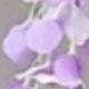 彩色