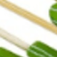 cây xương rồng