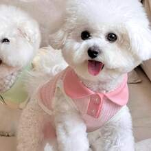 1 buah Kaos Kasual Kerah Blok Warna Macaron Lucu untuk Anjing Kecil/Sedang, Cocok untuk Poodle, Teddy, Pakaian Hewan Peliharaan - Berwarna merah muda - View 15