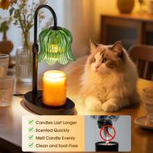 Auto Timer Candle Warmer Lamp, Height & Brightness Adjustable Candle Lamp, Flameless Wax Melt Warmer Light, No Flame No Smoke Electric Candle Heater, Candle Melting Lamp For Bedroom, Living Room, Home Office, Aesthetic Modern Home Decor Light, Cozy Night Light For Relaxing Atmosphere, Warm Ambient Lighting For Sleep And Stress Relief, Candle Warmer For Jar Candles, Compatible With Most Candle Sizes, Elegant Glass Shade And Wooden Base Design, Home Fragrance Wax Melt Warmer, Decorative Lamp For Desk, Bedside Table, Apartment And Dorm, Gift For Women, Mom, Girlfriend, Wife, Perfect For Fall Winter Home Essentials, Holiday Gift, Christmas Gift Idea, Soft Glow Lighting For Cozy Vibes, Relaxing Home Experience - 綠色 - 查看 5