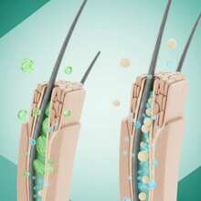 Skala Babosa 1000g - Deeply Hydrates Curls 1000g - 蘆薈 - 查看 5