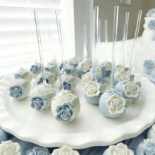 30/100pcs Acrylic Solid Lollipop Sticks, Baking Cake Ball Mold Accessories, Candy Sticks For Party, Wedding, Christmas, Halloween Dessert Table, Suitable For Handmade DIY Desserts, Chocolate, Cheese Sticks, Candy, Cake Baking Tools - View 3