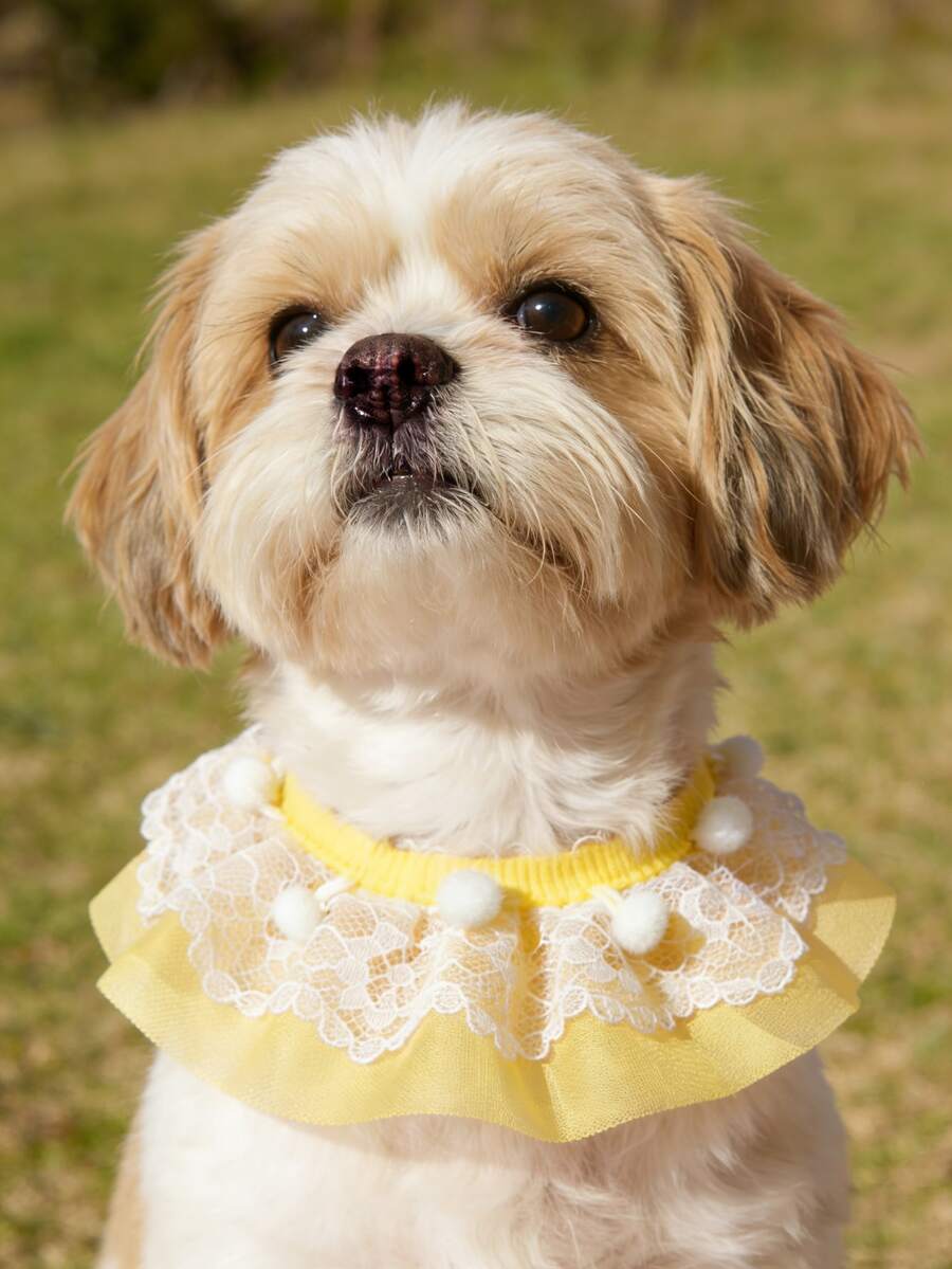Lace Collar For Pets, Teddy Bib, Cat & Dog Outdoor Photo Prop Accessory, Gift - Yellow - View 1