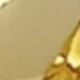 Dorado