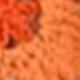 Orange Flowers