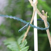 园艺扎带、尼龙带、塑料薄膜捆扎带、植物固定器、便携式园艺电缆、园艺和草坪护理用品 - 多色 - 查看 4