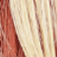 Blonde Ombre