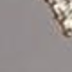 彩色