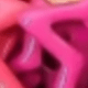 彩色