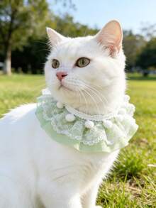 Lace Collar For Pets, Teddy Bib, Cat & Dog Outdoor Photo Prop Accessory, Gift - Green - View 1