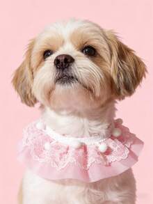 Lace Collar For Pets, Teddy Bib, Cat & Dog Outdoor Photo Prop Accessory, Gift - Pink - View 1