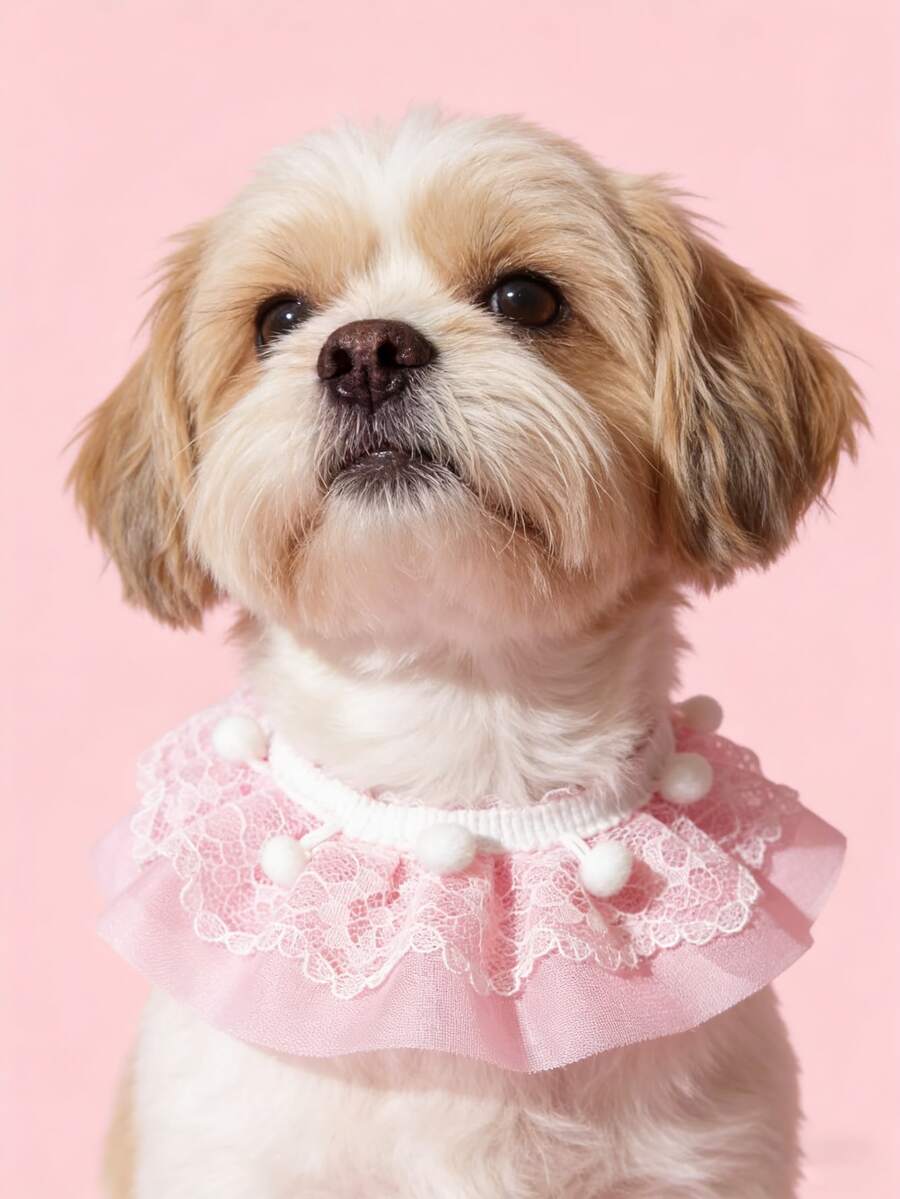 Lace Collar For Pets, Teddy Bib, Cat & Dog Outdoor Photo Prop Accessory, Gift - Pink - View 1